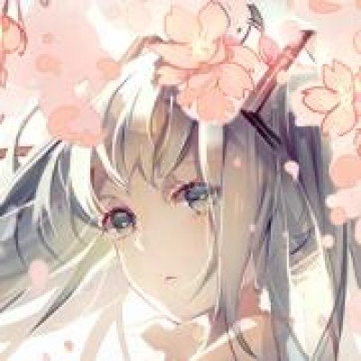 疑坠亡的金建希案法官曾获评优秀法官